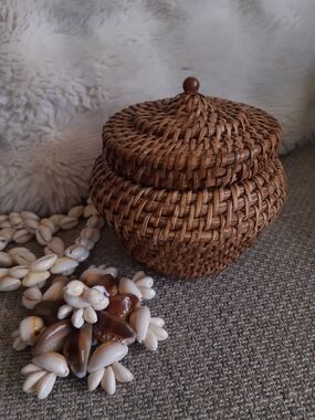 Vintage Handwoven Rattan Lidded Basket - Brown
